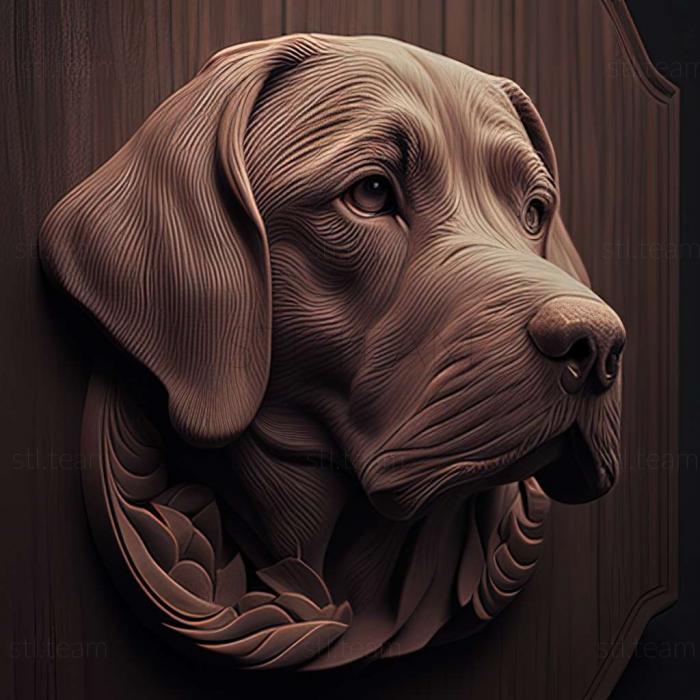 3D model Pel dog famous animal (STL)